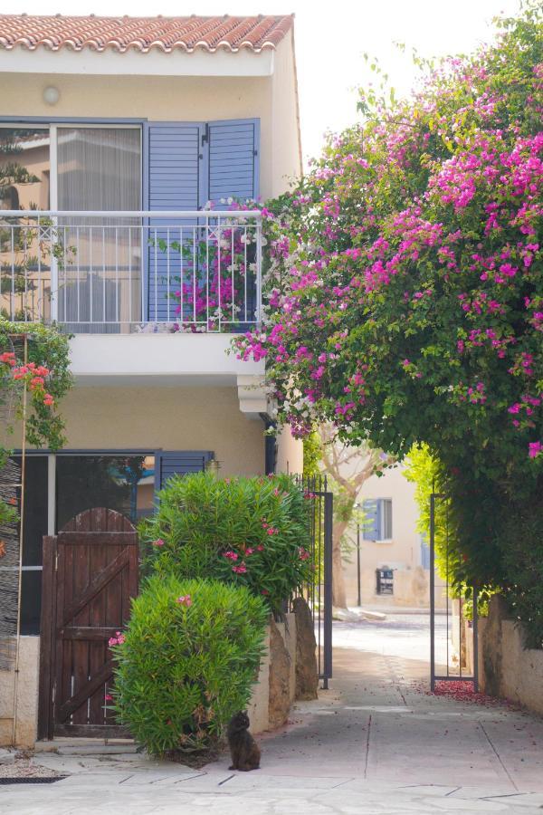 Rachel Suite By The Pool Paphos ภายนอก รูปภาพ